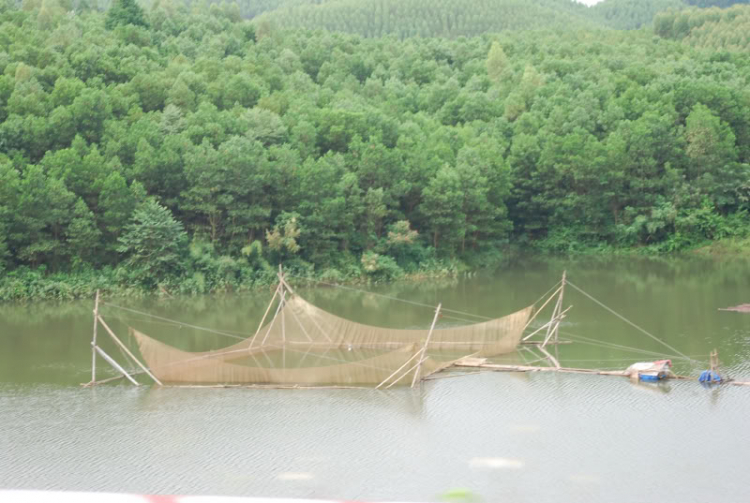 Khúc quân hành cùng AD@