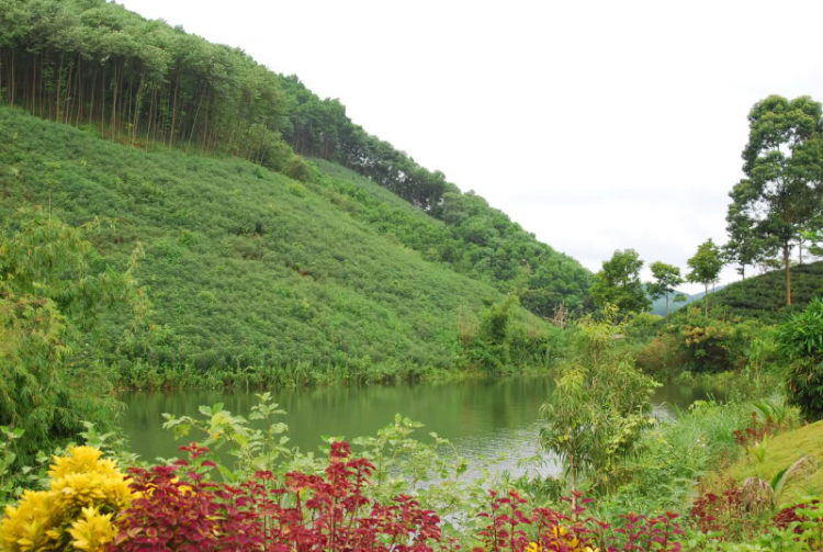 Khúc quân hành cùng AD@