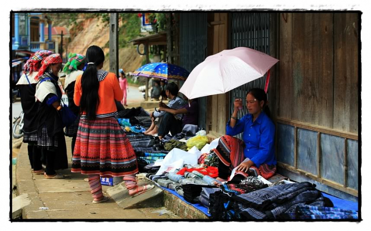 Lúa chín Tú Lệ - Mù Cang Chải.