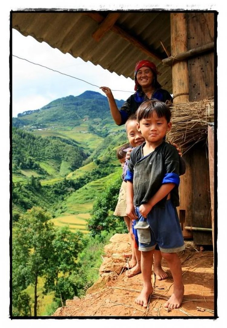 Lúa chín Tú Lệ - Mù Cang Chải.