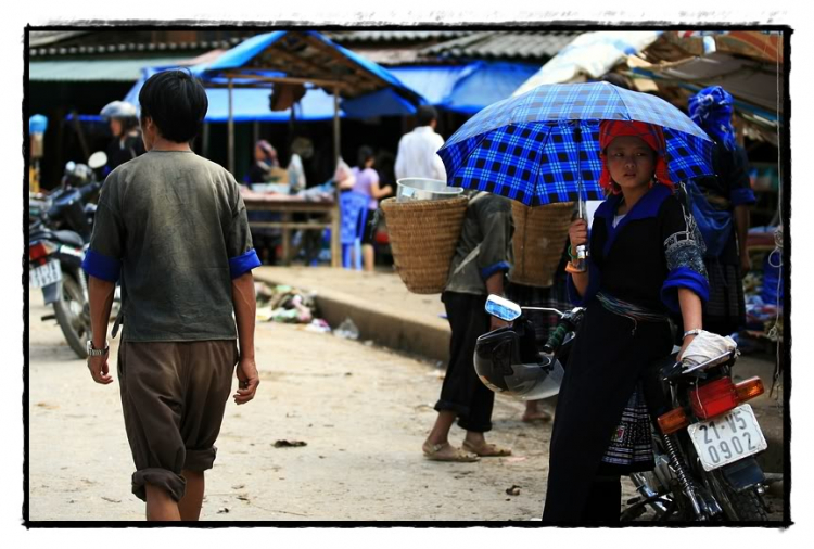 Lúa chín Tú Lệ - Mù Cang Chải.