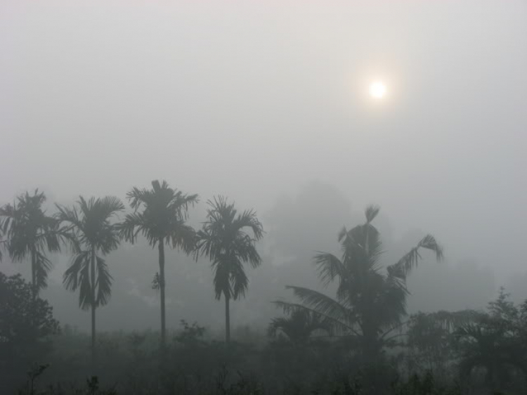 Long Sơn - tường thuật và hình ảnh