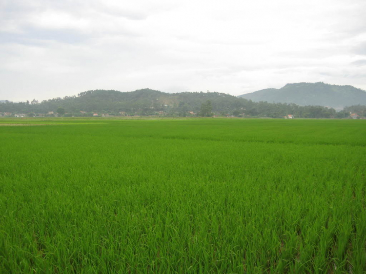 OS Nghệ An OS Nghệ An