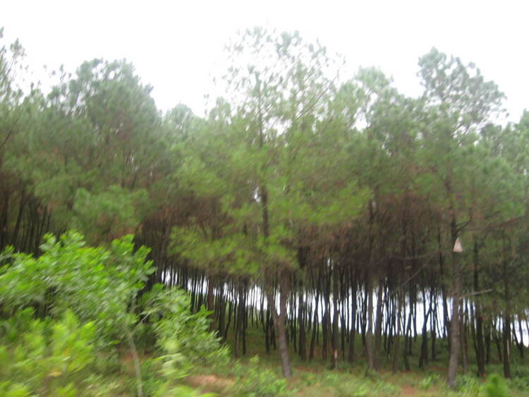OS Nghệ An OS Nghệ An