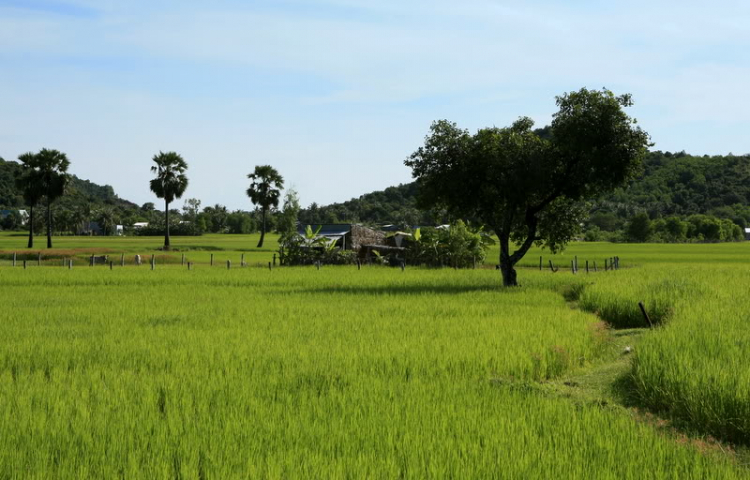 Ngẫu hứng Miền Tây