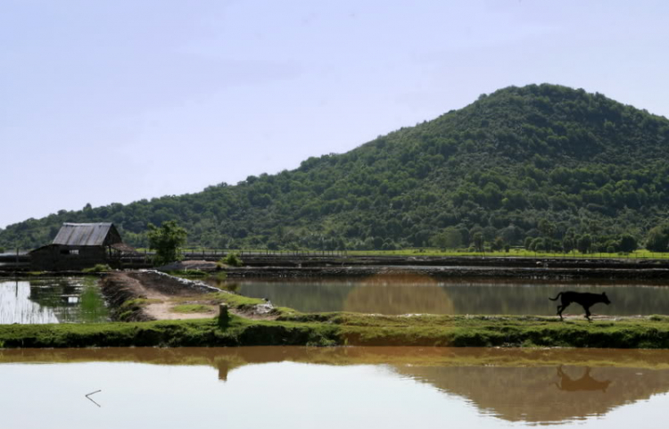 Ngẫu hứng Miền Tây