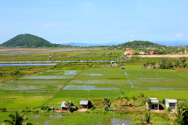 Ngẫu hứng Miền Tây