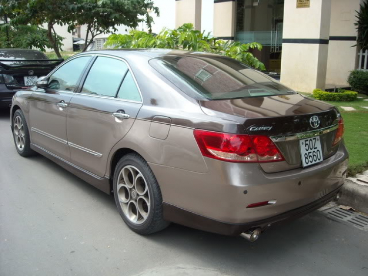 Camry Chocopie in SG Camry Chocopie in SG