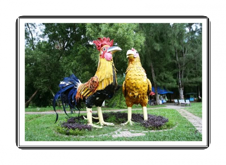 Fansipan, chinh phục hay dạo chơi?