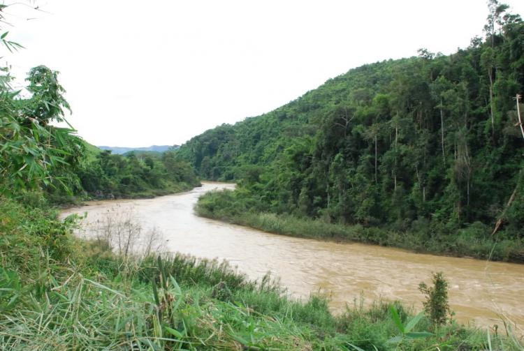 Sư Tử 407 và 553km Tà đạo " đem Cha bỏ Rừng " của Tà Mỗ