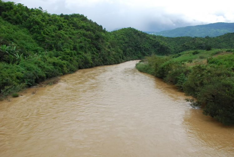 Sư Tử 407 và 553km Tà đạo " đem Cha bỏ Rừng " của Tà Mỗ