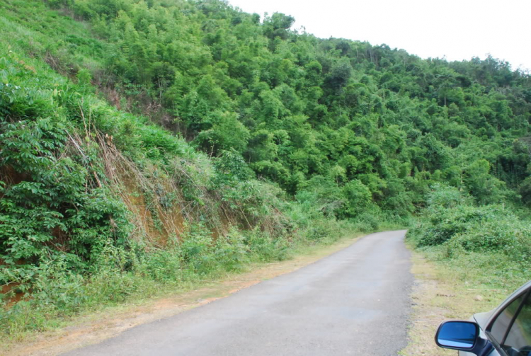 Sư Tử 407 và 553km Tà đạo " đem Cha bỏ Rừng " của Tà Mỗ