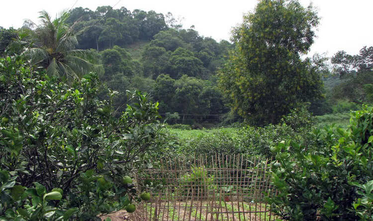 OS Nghệ An OS Nghệ An