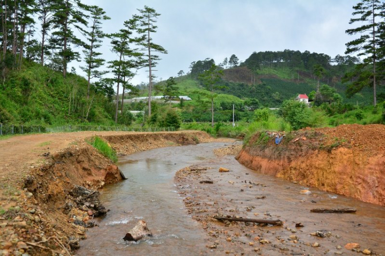 Jolie - Chiếc xe thân thiện