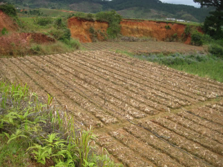 VỢ HAI và những chuyến phiêu lưu (Phần 2)