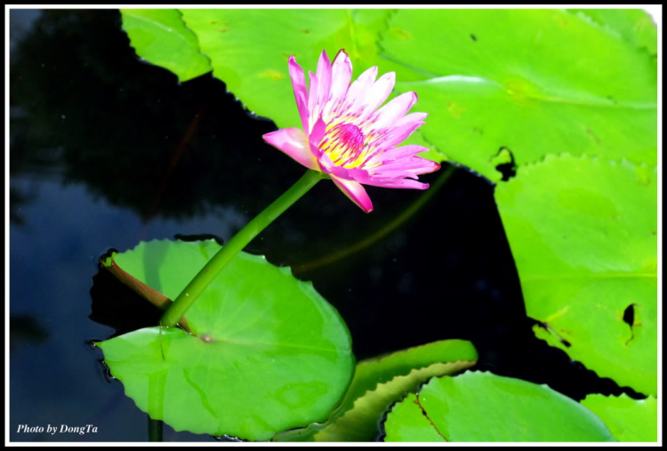 Chiều trên Bến Tầm Dương Chiều trên Bến Tầm Dương