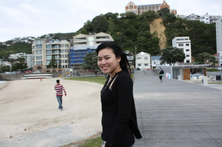 Wellington Harbour. Một góc nhìn