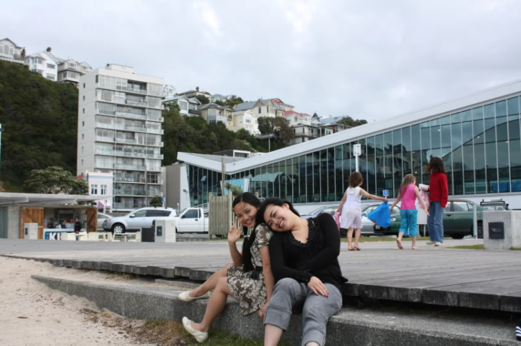 Wellington Harbour. Một góc nhìn