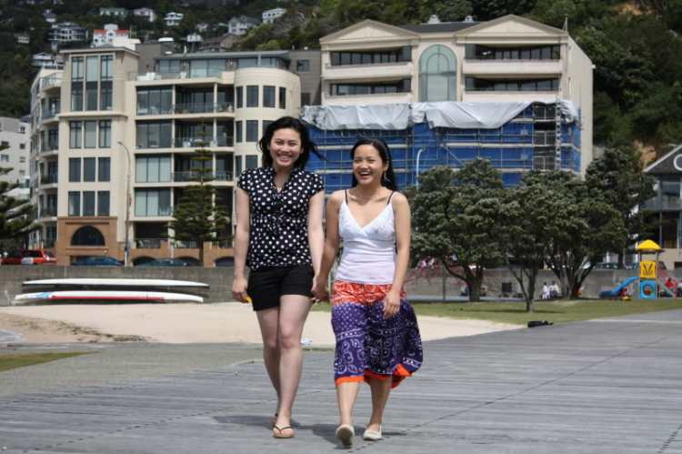 Wellington Harbour. Một góc nhìn