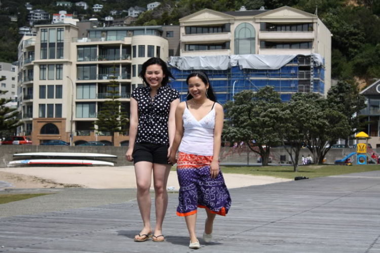 Wellington Harbour. Một góc nhìn