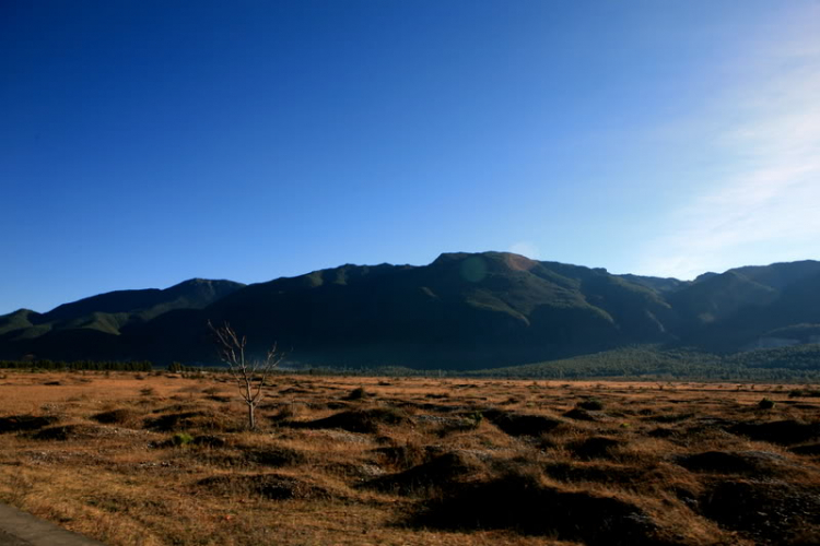 Dưỡn dẹo Yunnan. Dưỡn dẹo Yunnan.