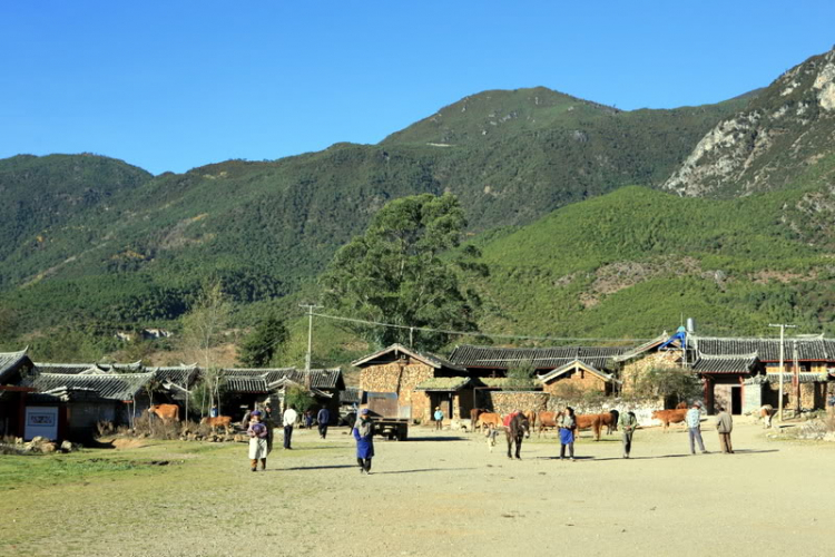 Dưỡn dẹo Yunnan. Dưỡn dẹo Yunnan.