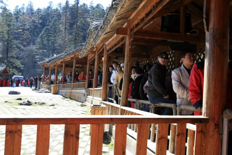 Dưỡn dẹo Yunnan. Dưỡn dẹo Yunnan.