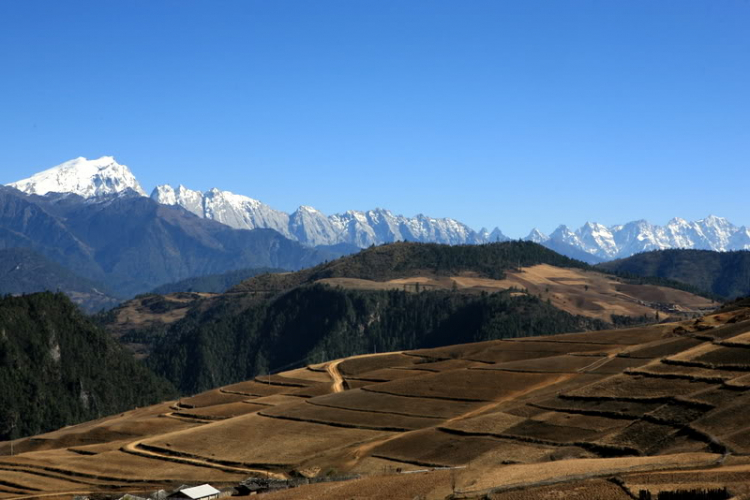 Dưỡn dẹo Yunnan. Dưỡn dẹo Yunnan.