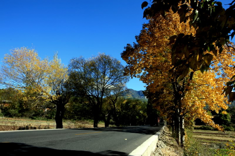 Dưỡn dẹo Yunnan. Dưỡn dẹo Yunnan.