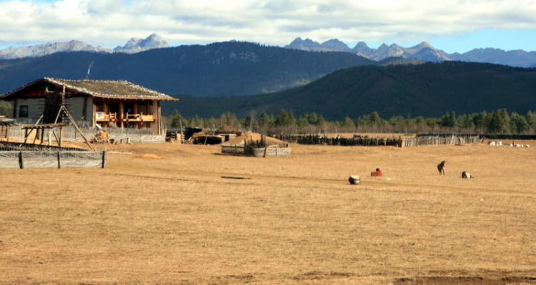 Dưỡn dẹo Yunnan. Dưỡn dẹo Yunnan.