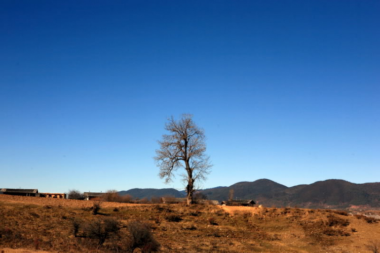 Dưỡn dẹo Yunnan. Dưỡn dẹo Yunnan.