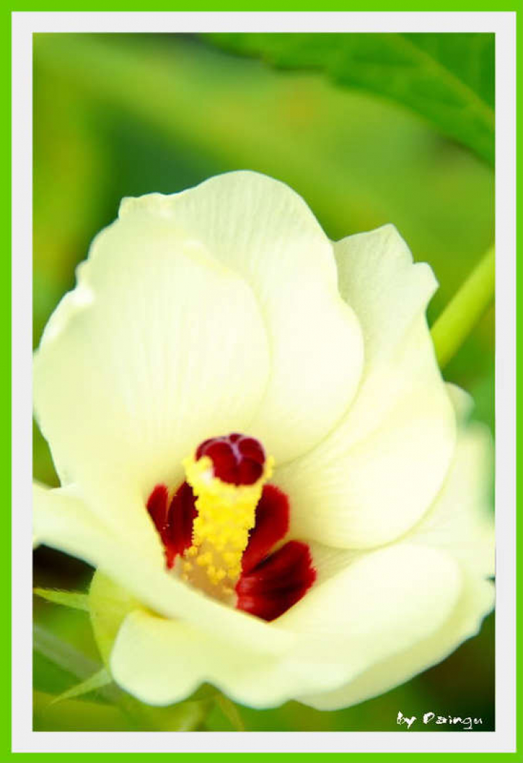 Off hồ Dầu  Tiếng; Tường trình và hình ảnh!