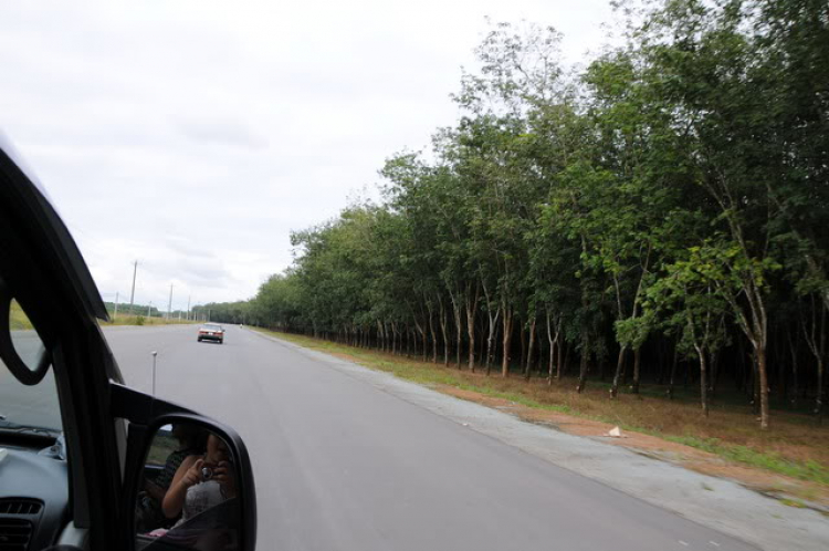 Off hồ Dầu  Tiếng; Tường trình và hình ảnh!