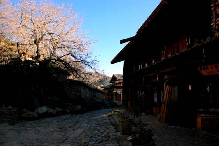 Dưỡn dẹo Yunnan. Dưỡn dẹo Yunnan.