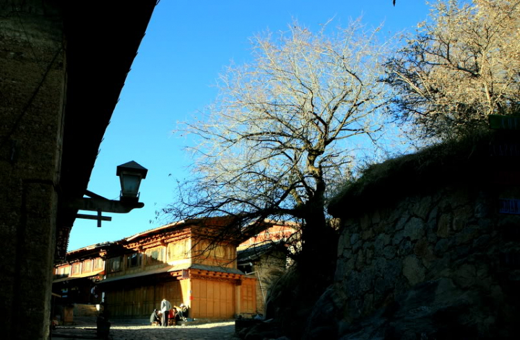 Dưỡn dẹo Yunnan. Dưỡn dẹo Yunnan.