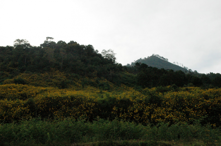 Nam du ký