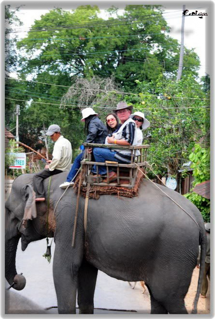 Ban mê ký sự! Lãng đãng cùng bác Xuân lv.