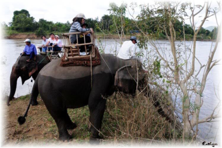 Ban mê ký sự! Lãng đãng cùng bác Xuân lv.