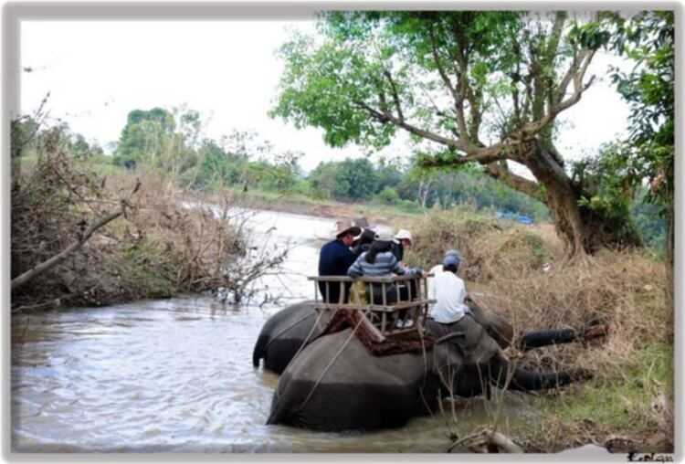 Ban mê ký sự! Lãng đãng cùng bác Xuân lv.