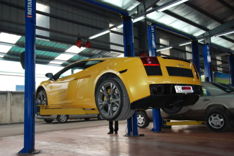 Lamborghini Gallardo Hamann - khởi đầu phong trào độ siêu xe