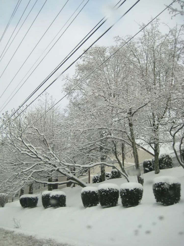 Bão Tuyết...December storm