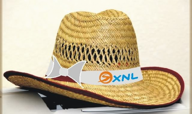 Logo XNL!