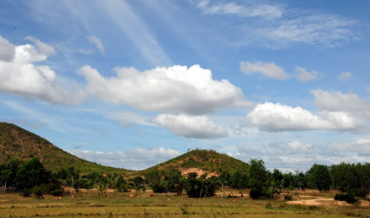 “Nổi sóng Nha Trang” - cuộc hội ngộ đầu năm mới 2009