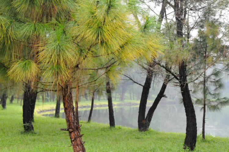 Lang thang ở Huế những ngày mưa