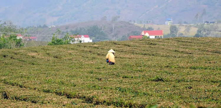 Ký sự ảnh Mộc Châu Ký sự ảnh Mộc Châu