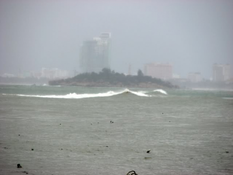 “Nổi sóng Nha Trang” - cuộc hội ngộ đầu năm mới 2009