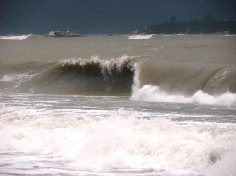 “Nổi sóng Nha Trang” - cuộc hội ngộ đầu năm mới 2009 “Nổi sóng Nha Trang” - cuộc hội ngộ đầu năm mới 2009