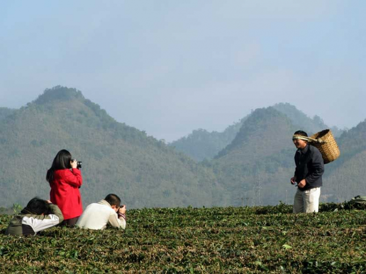 Ký sự ảnh Mộc Châu