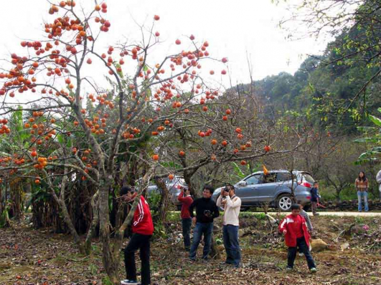 Ký sự ảnh Mộc Châu