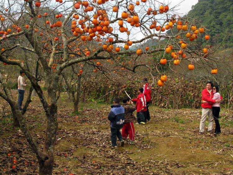 Ký sự ảnh Mộc Châu